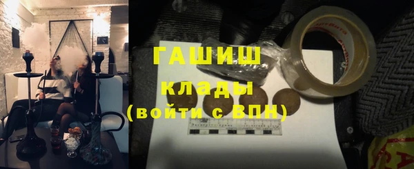 молекула духа Богданович