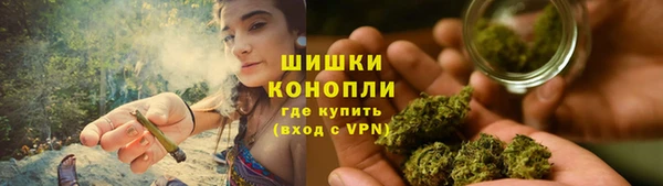 молекула духа Богданович