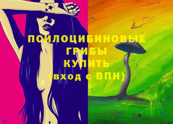 молекула духа Богданович