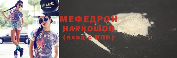 молекула духа Богданович
