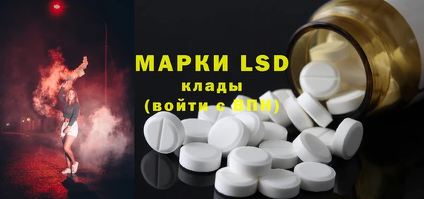 молекула духа Богданович
