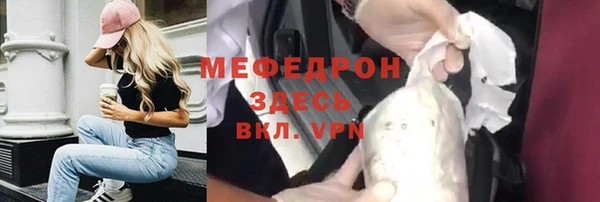 молекула духа Богданович