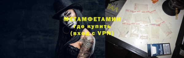 молекула духа Богданович