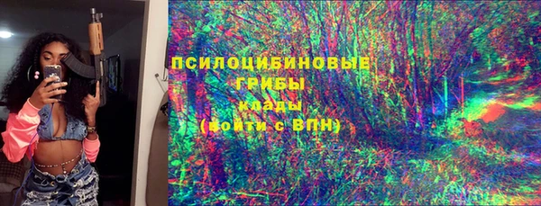 молекула духа Богданович