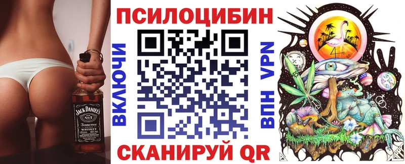 Галлюциногенные грибы Cubensis Малаховка